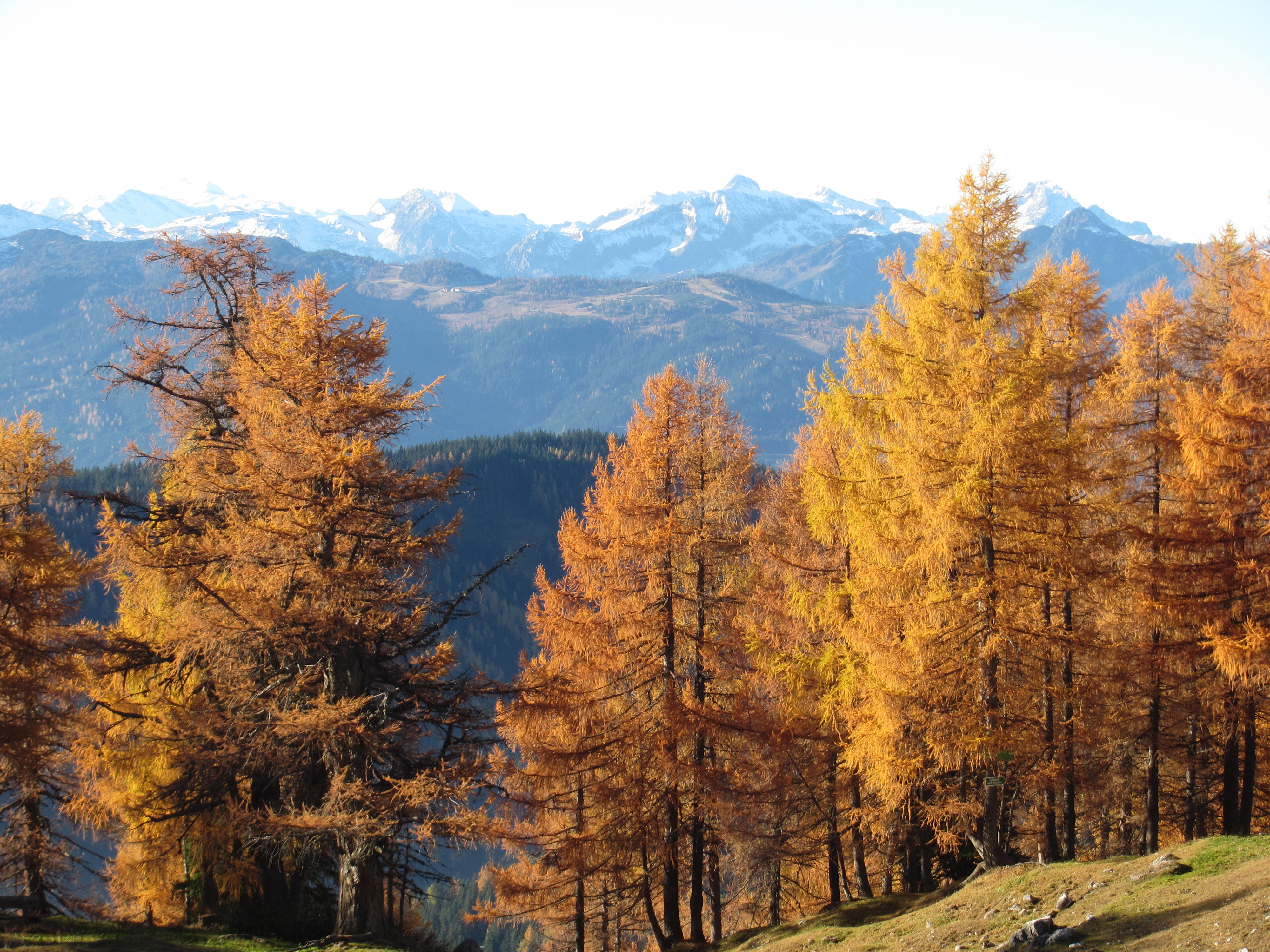 Auch im Herbst ein Highlight