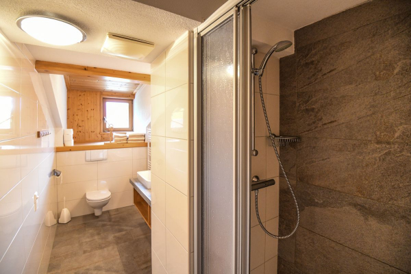 Wohnung Dachstein